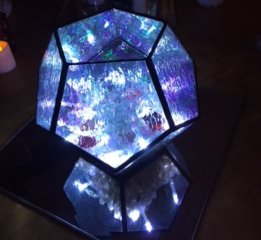 glowing terrarium