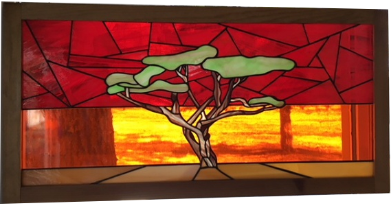 desert lone pine tree