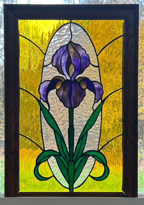Purple Iris